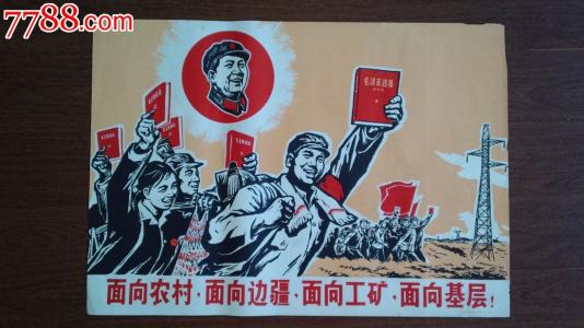 贝尔加莫卡拉拉美术学院经济学文凭证书